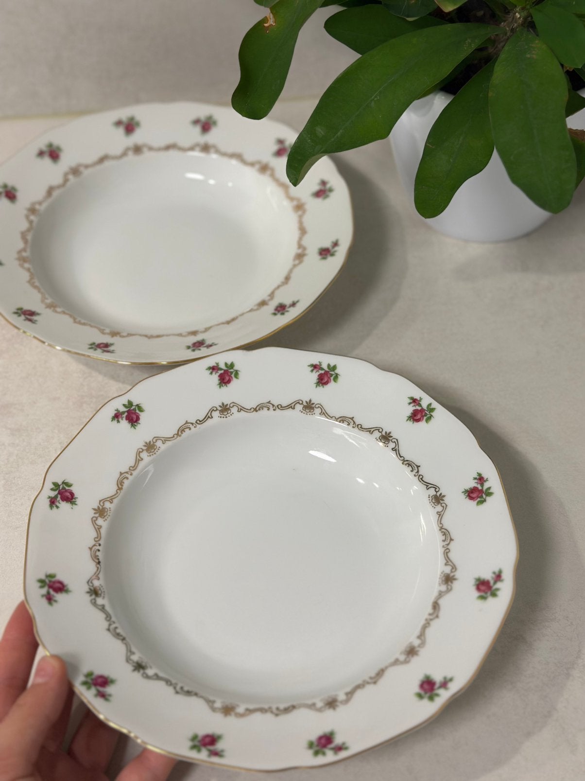 Ensemble de 2 assiettes profondes en porcelaine vintage, Antiquités & Art, Enlèvement ou Envoi