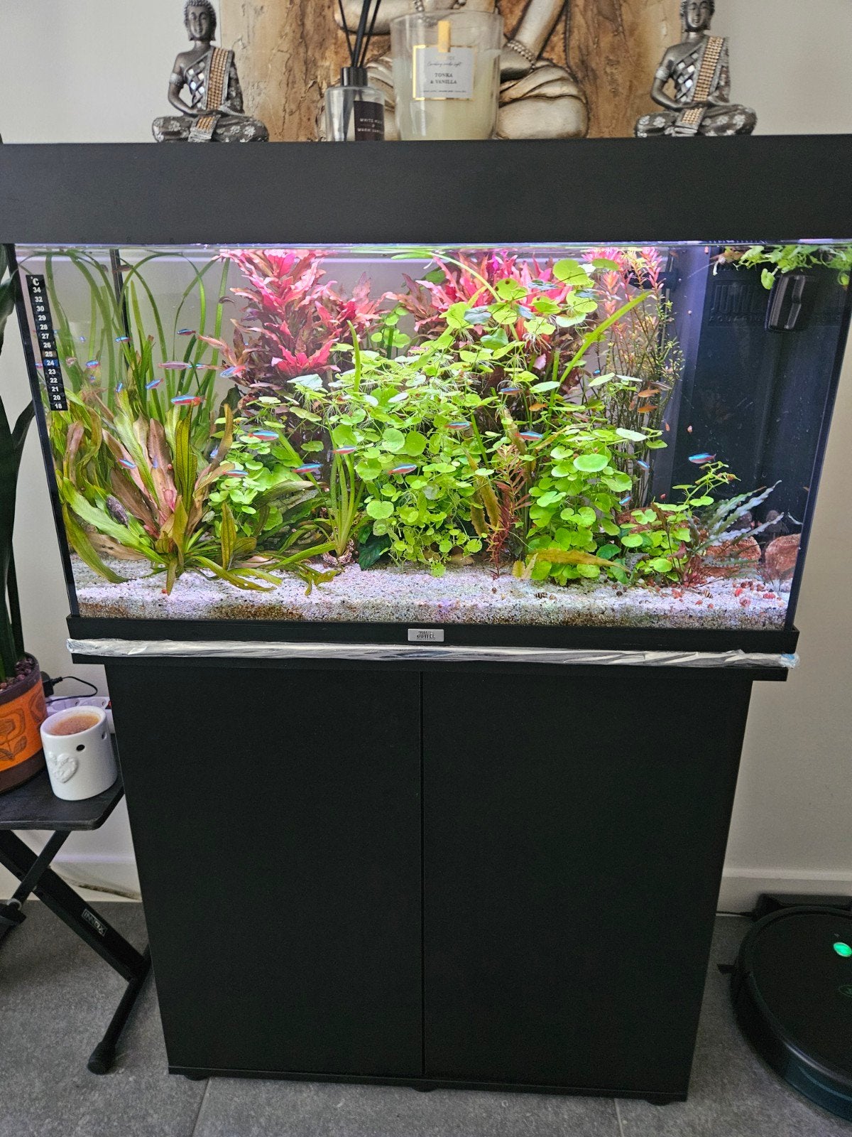 juwel rio 125 compleet., Ophalen, Gebruikt, Verwarming, Juwel