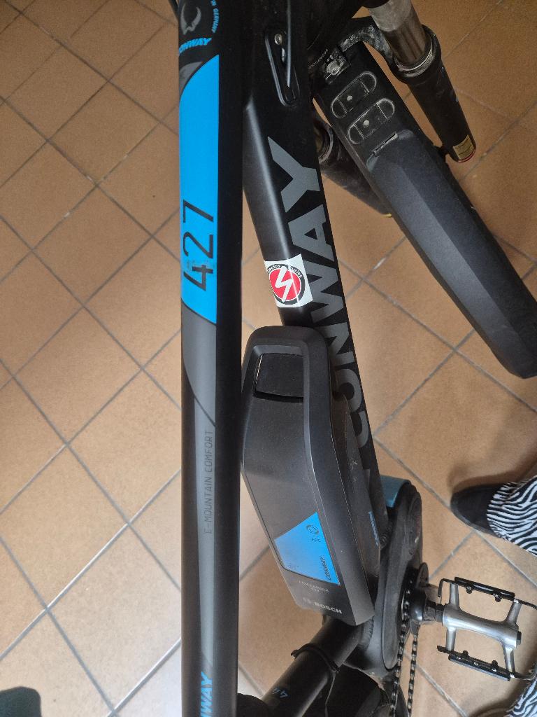 elektrische herenfiets, Enlèvement, Utilisé