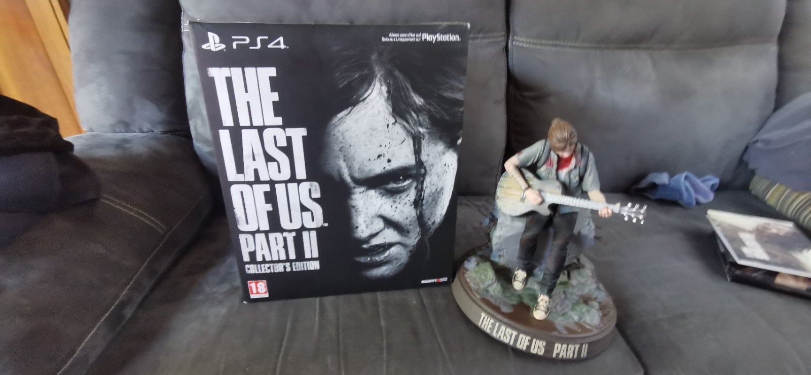 Last of us part 2 edition collector (Ps4), Enlèvement
