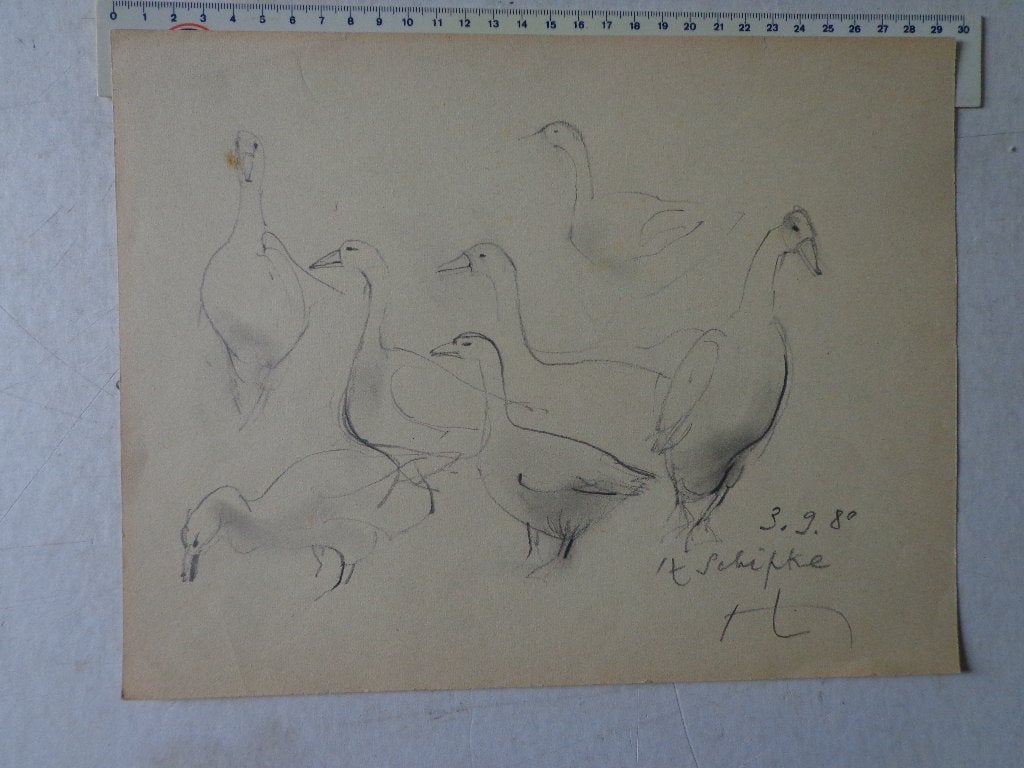 tekening Hugo Heyens "Ganzen" uit 1980, Enlèvement ou Envoi