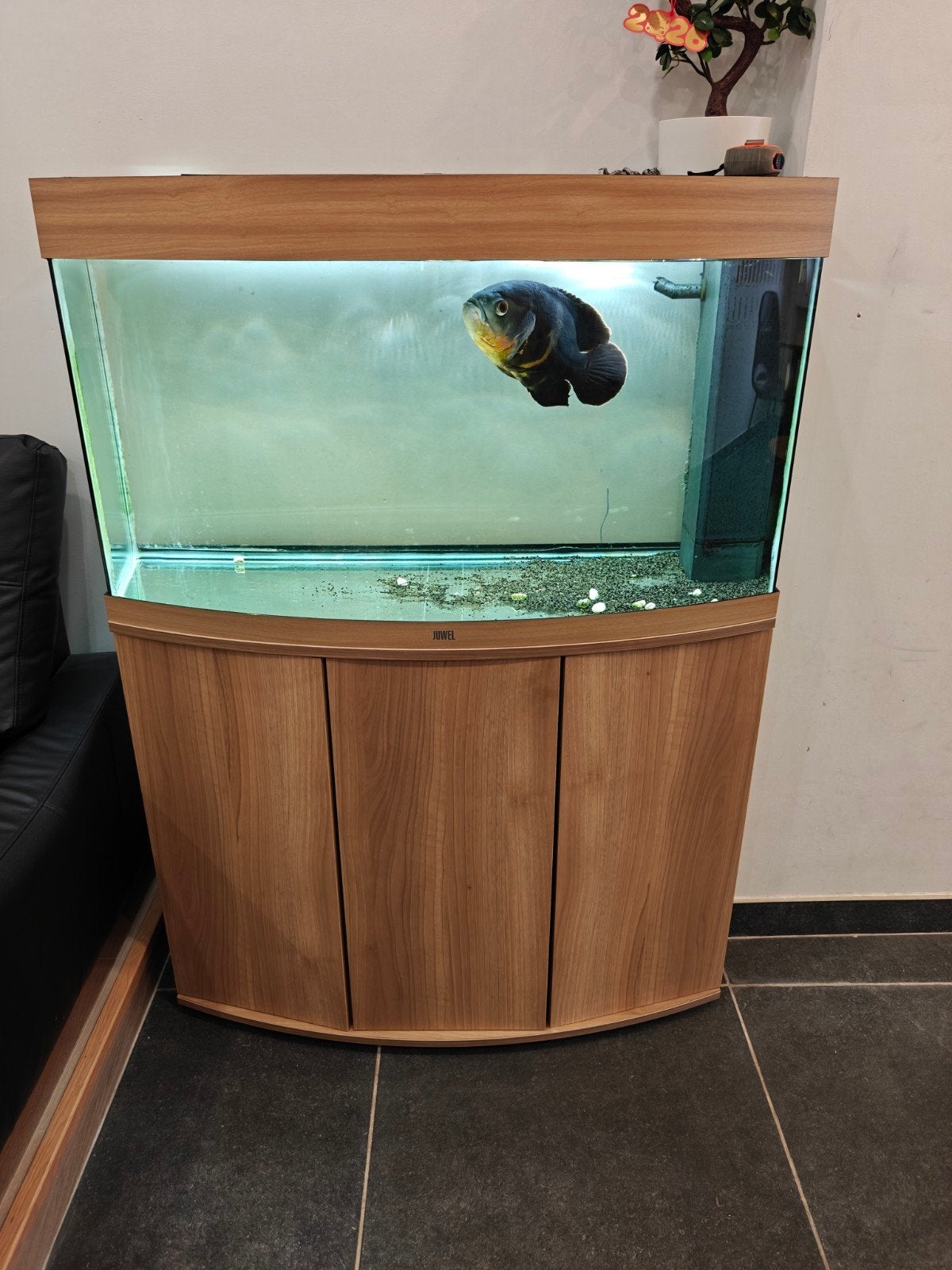 aquarium, Ophalen, Pomp