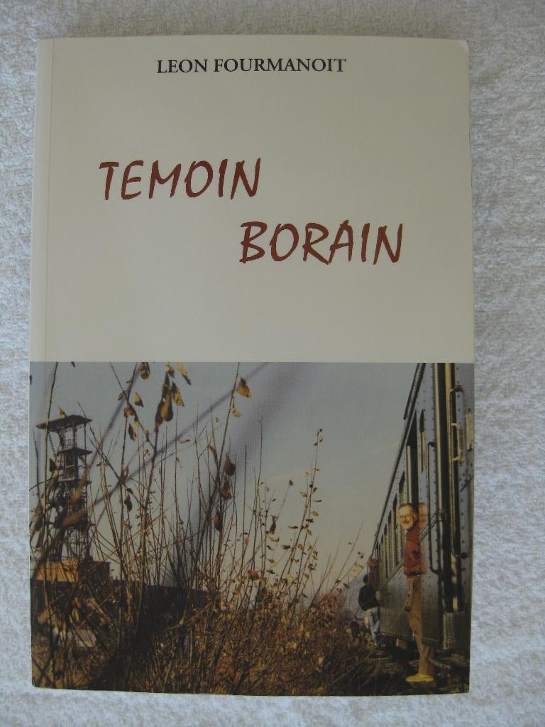 Borinage Mons – Léon Fourmanoit - 2006  , Enlèvement ou Envoi, Utilisé