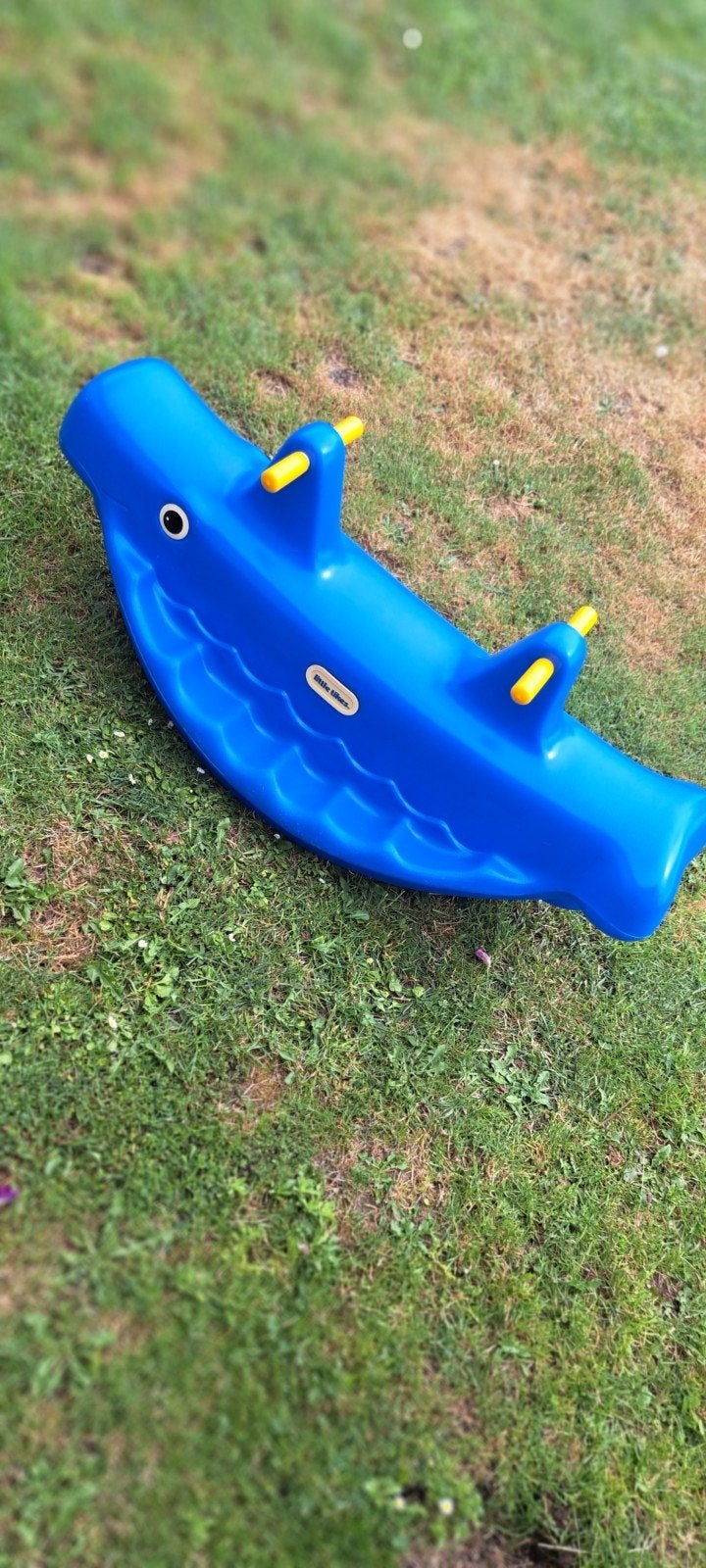 petite baleine, Enlèvement