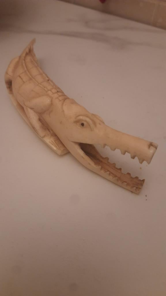 ivoire crocodile, Collections, Enlèvement ou Envoi