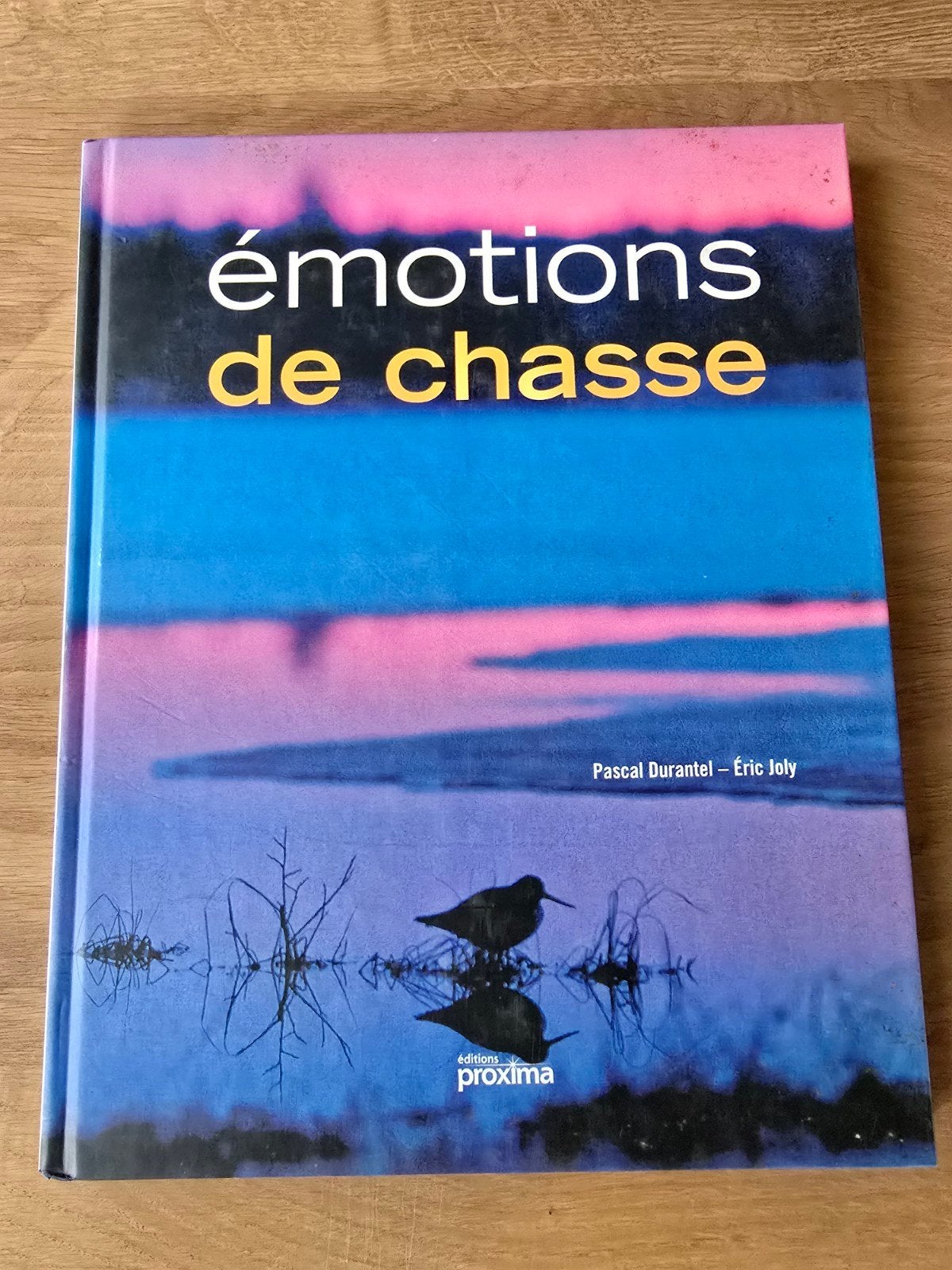 Émotions liées au châssis — Pascal Durantel et Eric Joly, Enlèvement ou Envoi