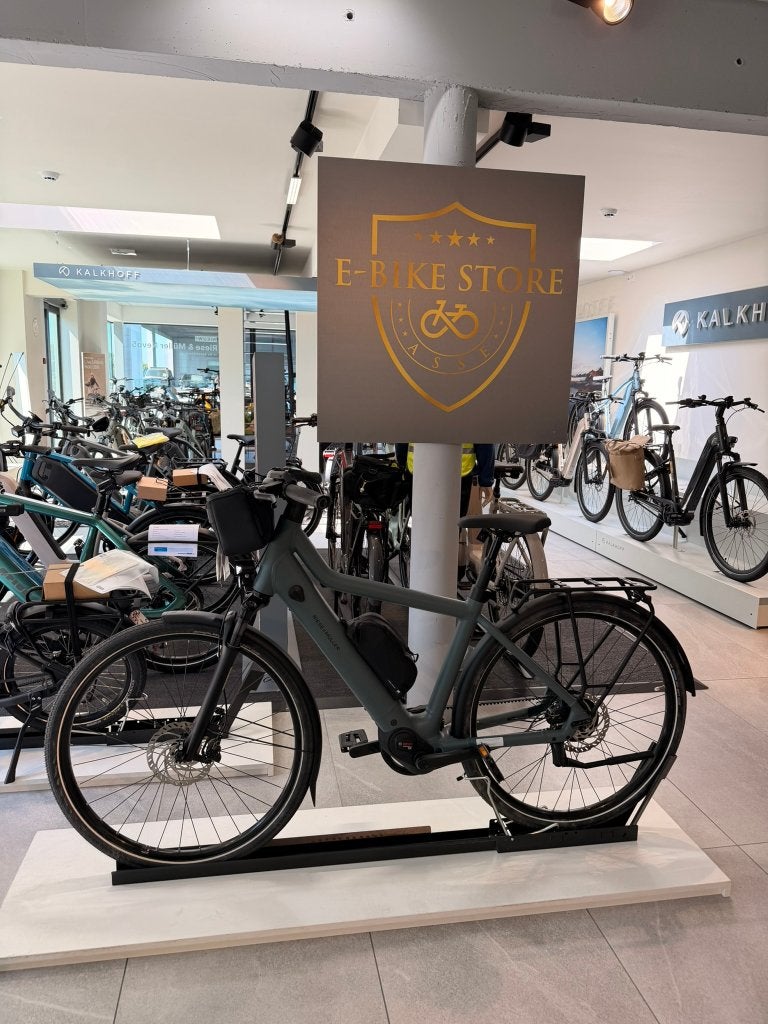 Riese & Müller Culture Vario DEMOFIETS