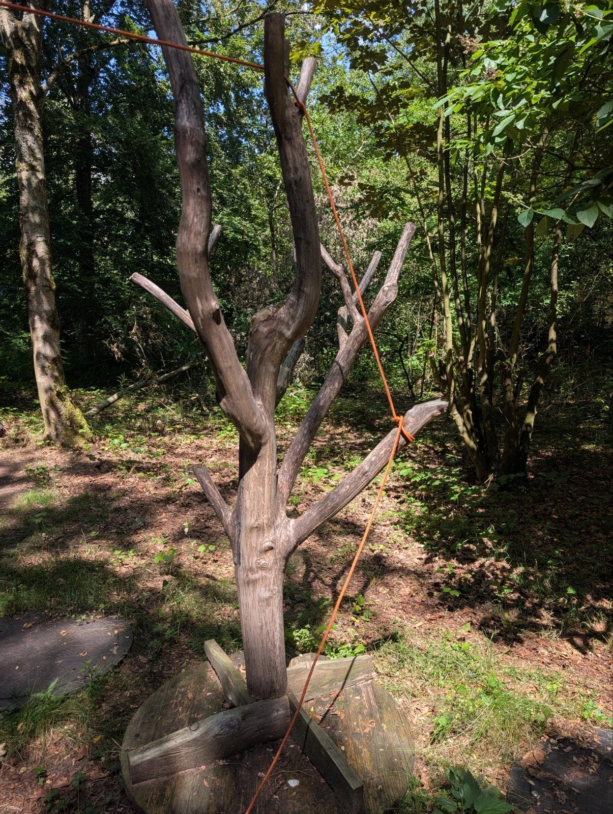 Kattenpaal, Ophalen