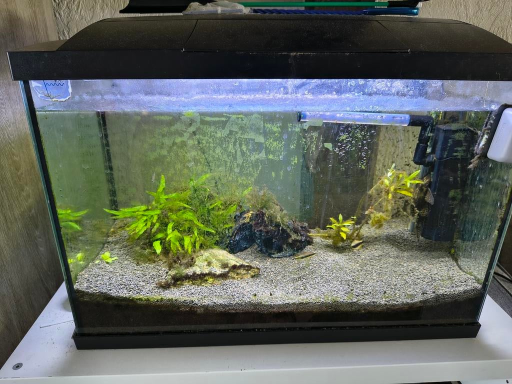 Aquarium plus vissen, Ophalen