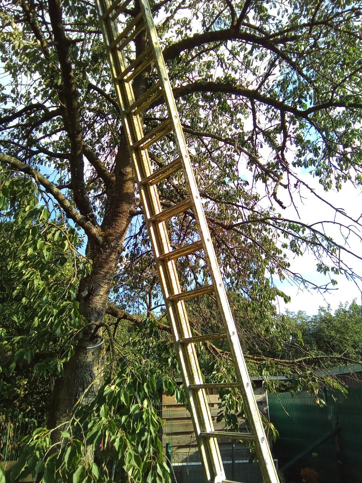 uitschuifbare aluminium ladder 10 meter, Ophalen, Zo goed als nieuw, Ladder, 4 meter of meer