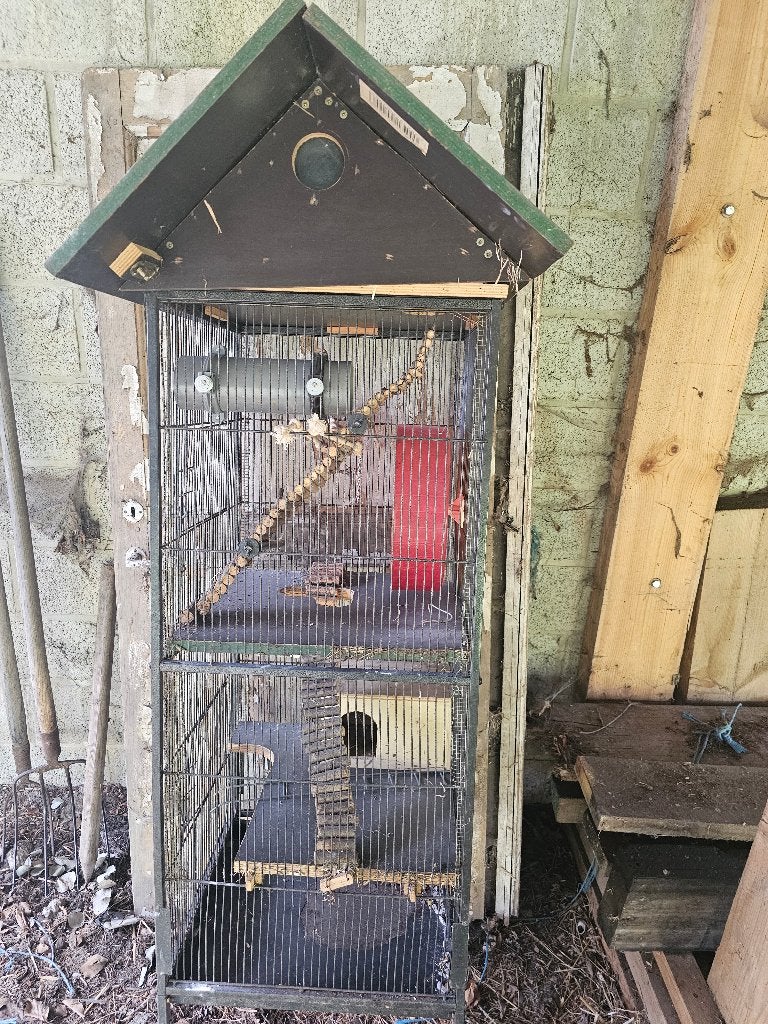cage rongeurs, Animaux & Accessoires, 90 cm ou plus, Cage, Utilisé, Furet