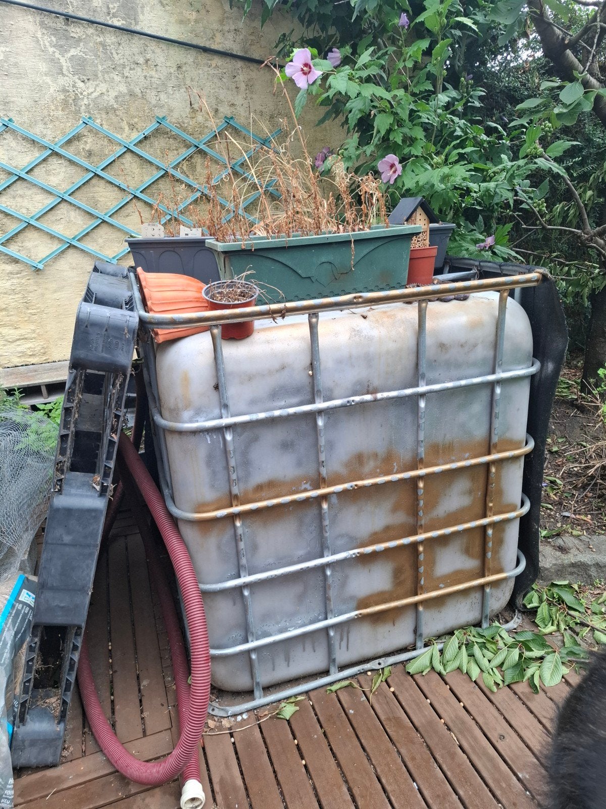 Gratis gebruikte ibc, 150 liter of meer, Ophalen, Gebruikt, Met kraantje
