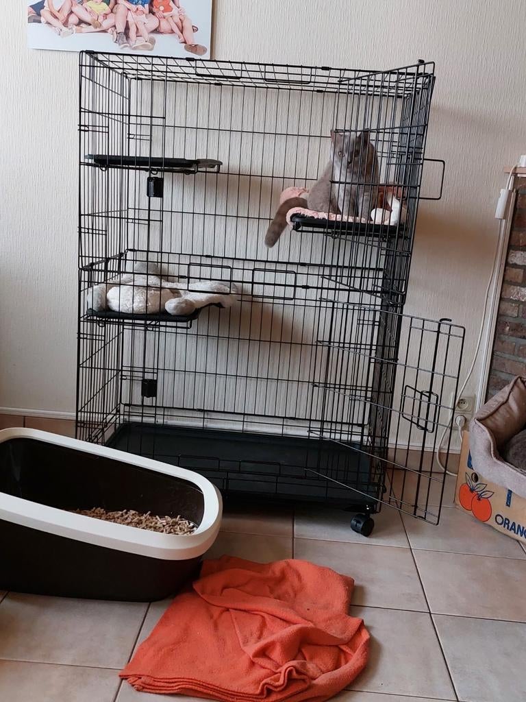 Kattenbench.H132cm Br93cm D57cm, Dieren en Toebehoren, Ophalen