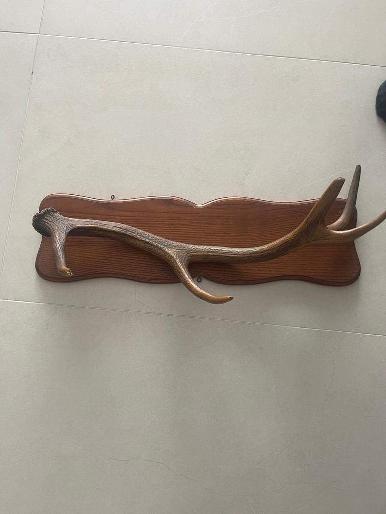 Verkoop 2 hoorns, Antiek en Kunst, Ophalen