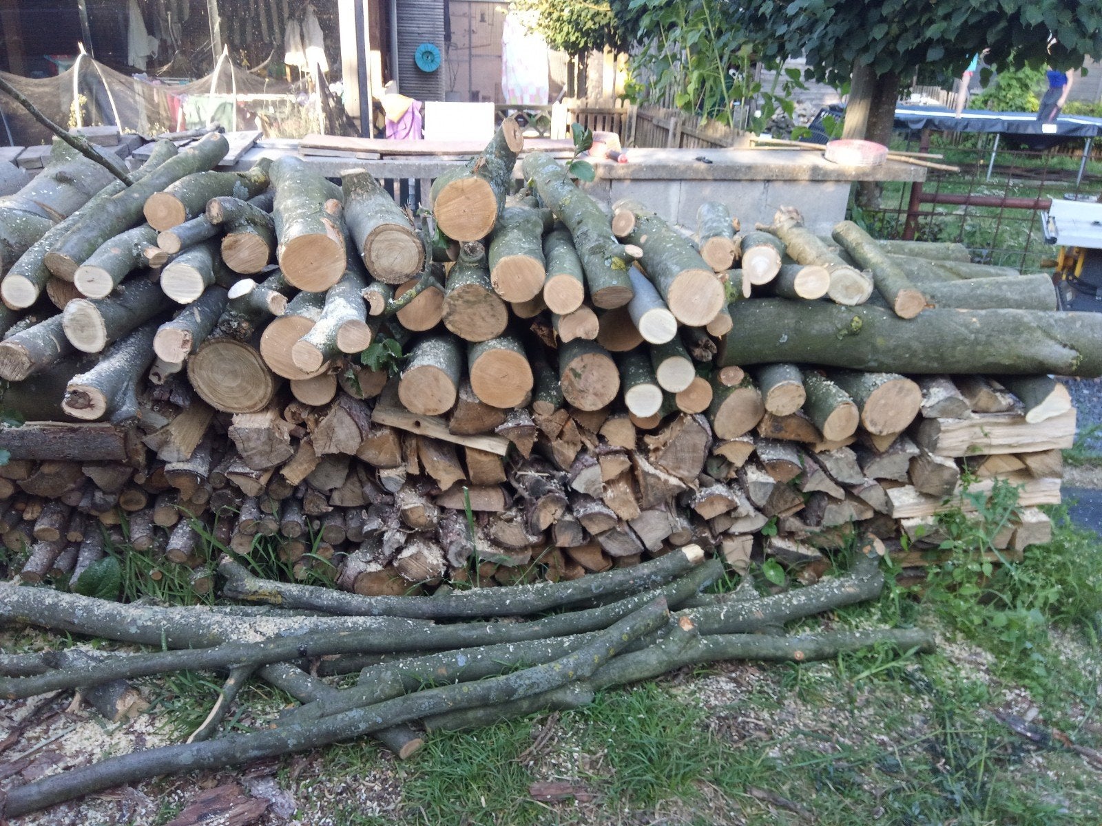 Brandhout beuk-den, Tuin en Terras, Brandhout, Ophalen