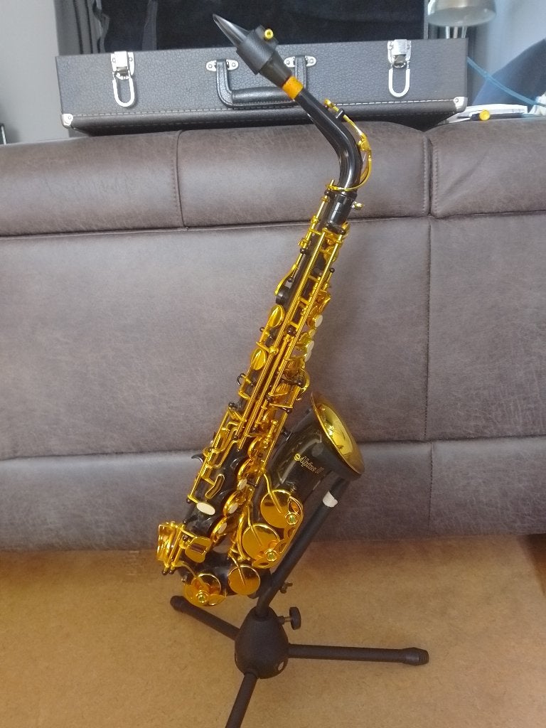 Magnifique saxophone alto noir, Enlèvement, Comme neuf, Alto, Avec valise