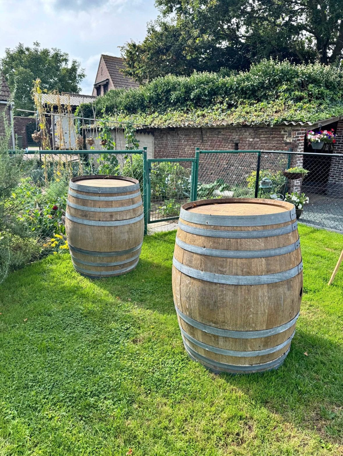 Eiken wijnvat, 150 litres ou plus, Enlèvement, Utilisé, Bois