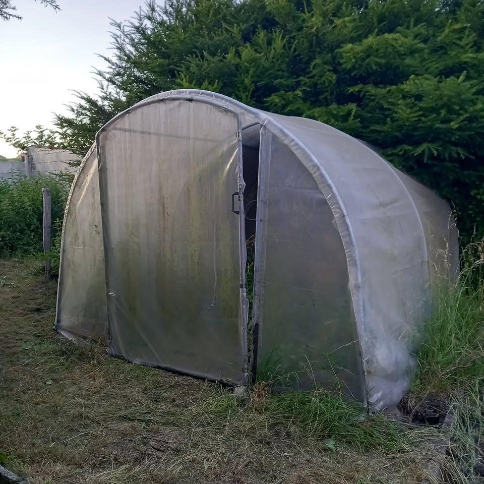 Serre de jardin, Jardin & Terrasse, Enlèvement, Utilisé