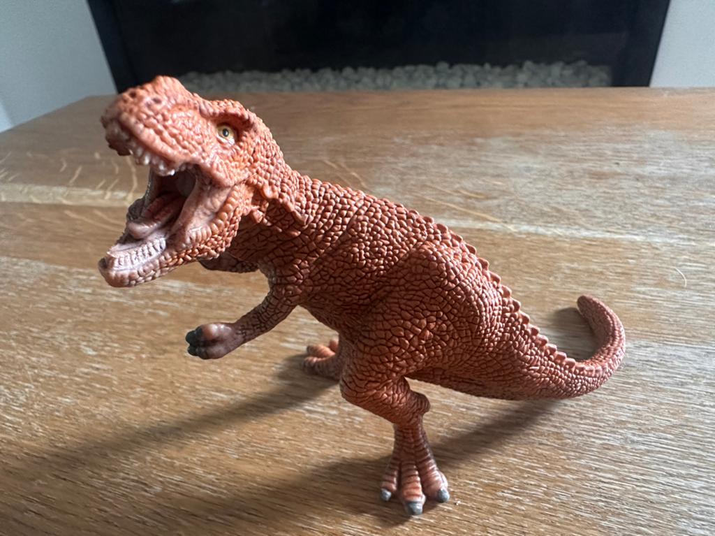 Dinosaurus, Ophalen of Verzenden, Zo goed als nieuw
