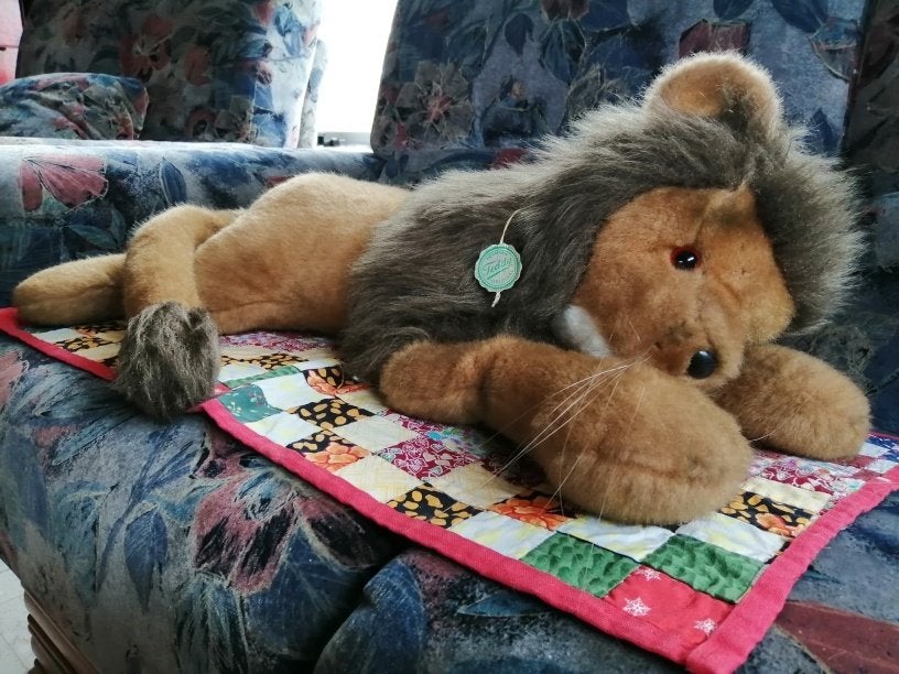 Hermann Teddy LION, Enlèvement ou Envoi, Comme neuf, Autres types, Autres marques