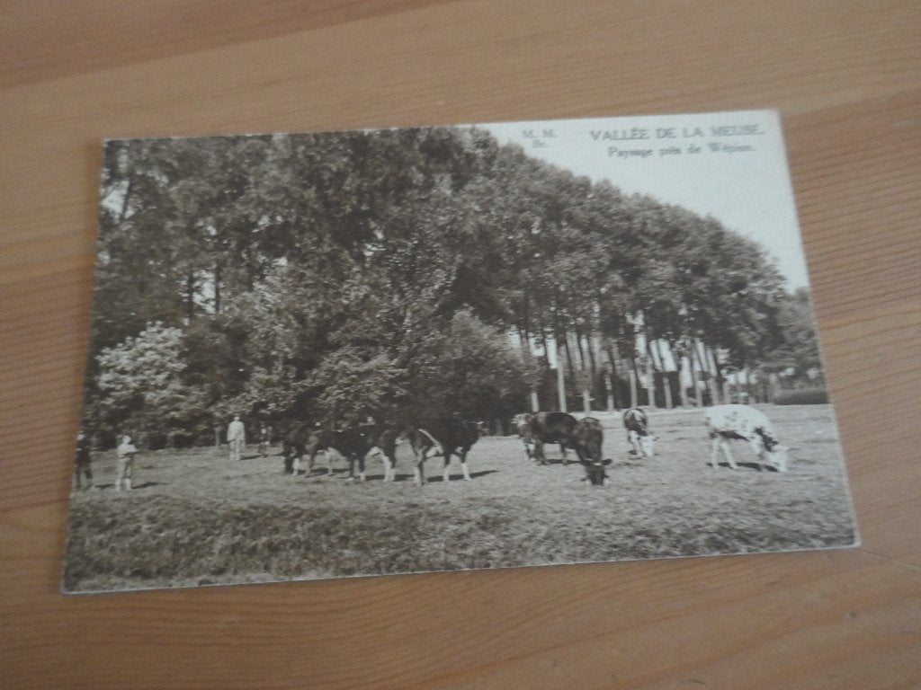 wépion vallée de la meuse paysage près wépion, Ophalen of Verzenden, Ongelopen, Namen
