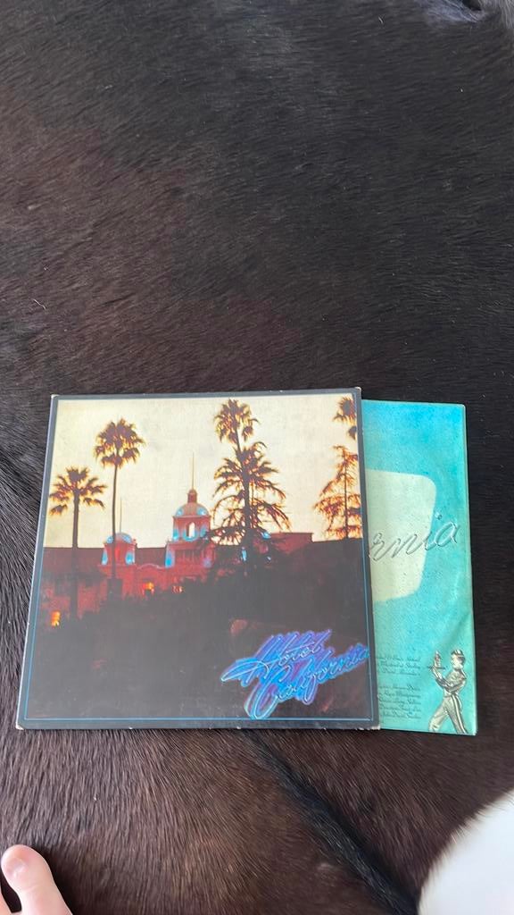Original 1976 hotel california vinylplaat, Cd's en Dvd's, Ophalen of Verzenden, Gebruikt