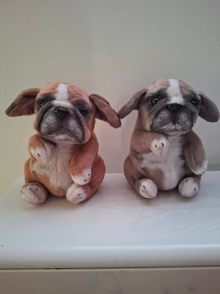 2x engelse bulldog franse bulldog beer 10€ stuk, Ophalen of Verzenden