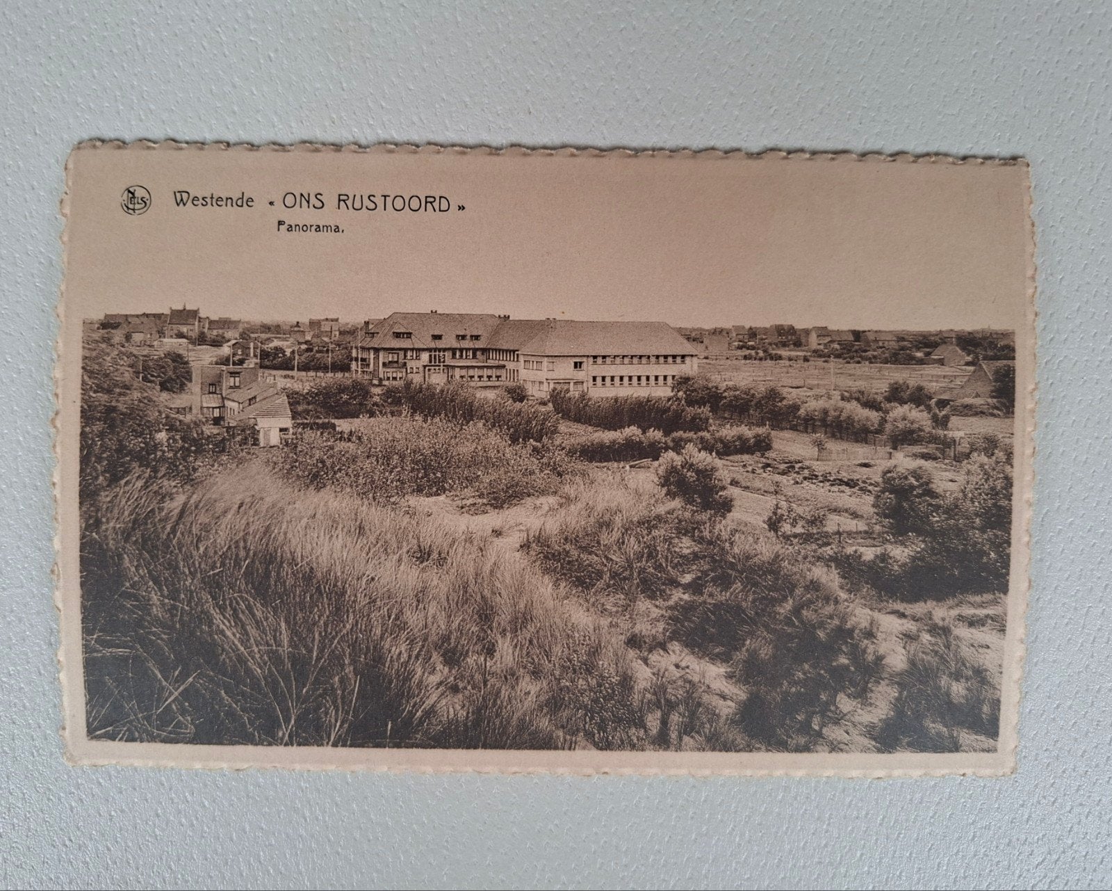 postkaart, Foto, Ophalen of Verzenden, Zo goed als nieuw, 1940 tot 1960