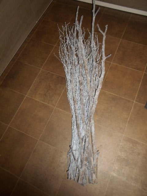 Nieuwe bussel takken zilver-wit / 102 cm., Ophalen of Verzenden, Nieuw