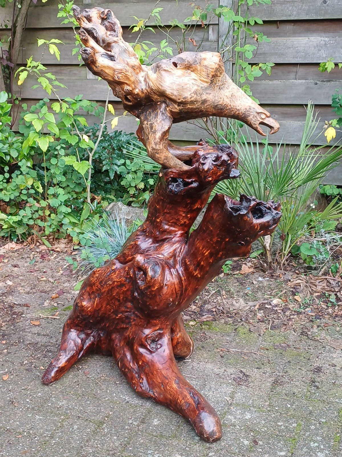 Indrukwekkend houten sculptuur - adelaar op wortel van teak, Houtsnijwerk, Ophalen of Verzenden, Hout, Bruin