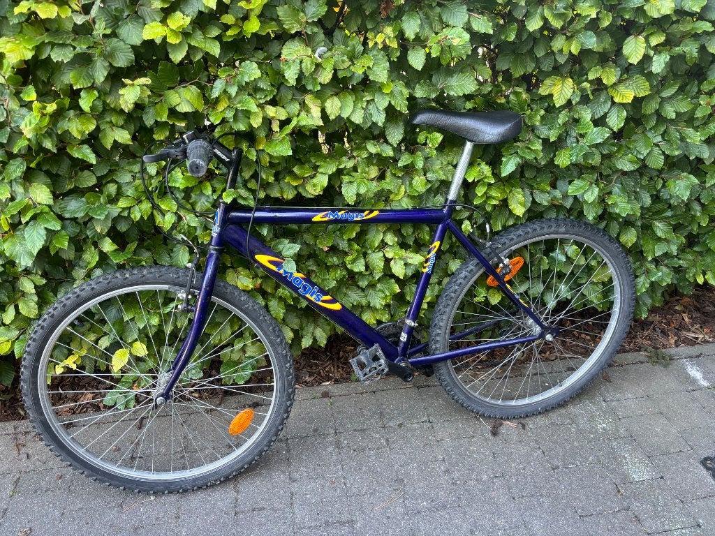 Vélo VTT, Enlèvement, Utilisé