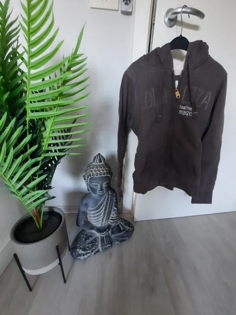 Warme gilet met kap LolaLiza maat M, Kleding | Dames, Ophalen of Verzenden, Zo goed als nieuw