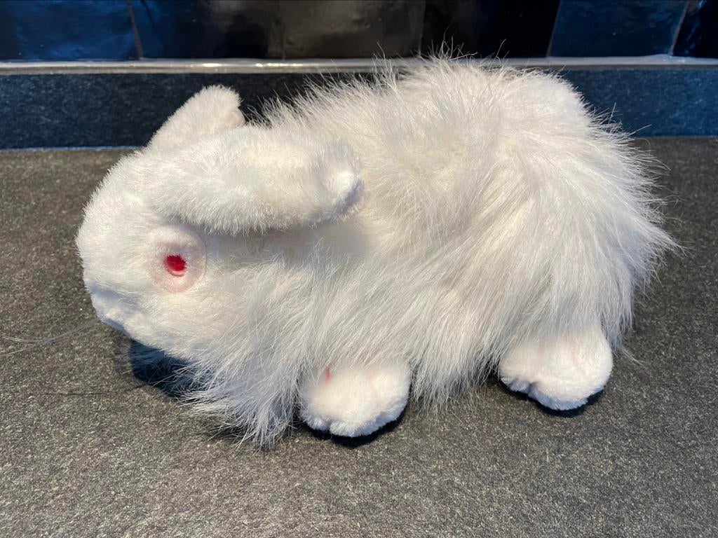 Albino konijn, Ophalen of Verzenden, Zo goed als nieuw, Konijn