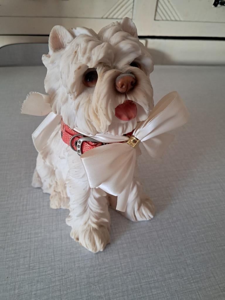 Photo d'un chien., Enlèvement ou Envoi, Comme neuf