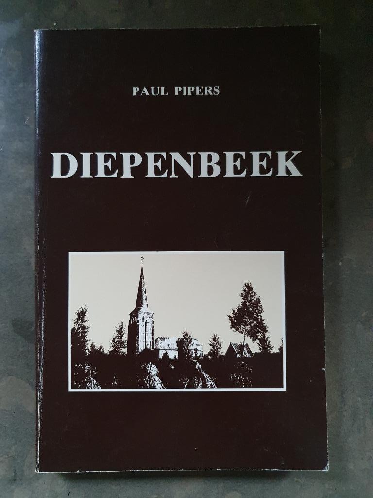 Boek: Diepenbeek Paul Pipers 1978 ( 139 blz), Boeken, Verzenden, 20e eeuw of later, Gelezen