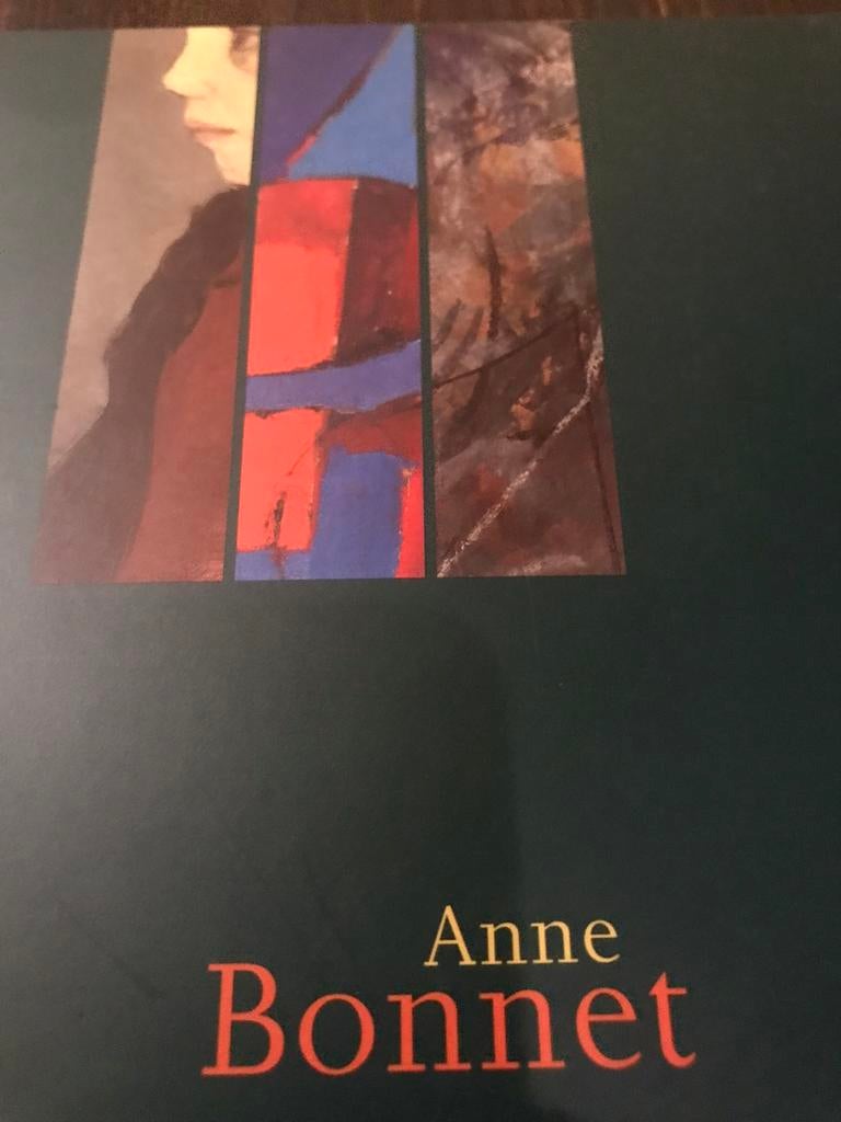 Peintures d'Anne Bonnet, 75 pages, Enlèvement ou Envoi, Comme neuf, Peinture et dessin
