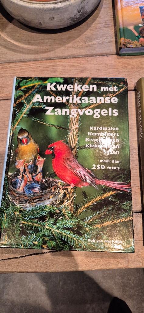kweken met amerikaanse sijzen, Dieren en Toebehoren, Ophalen, Zo goed als nieuw, Overige typen