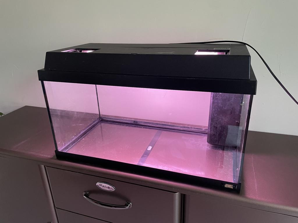 aquarium 60L, Enlèvement, Pompe, Utilisé, Juwel