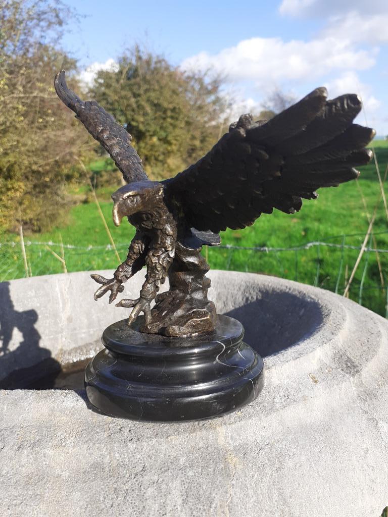 Schitterend gesigneerd bronzen dier (landing met een adelaar, Ophalen of Verzenden, Brons