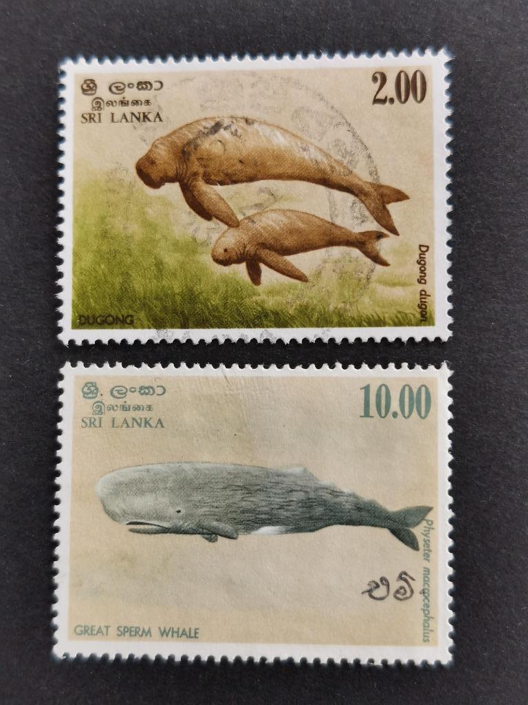 Sri Lanka 1983 - onderwaterfauna - walvis, doejong, Ophalen of Verzenden, Gestempeld, Zuid-Azië