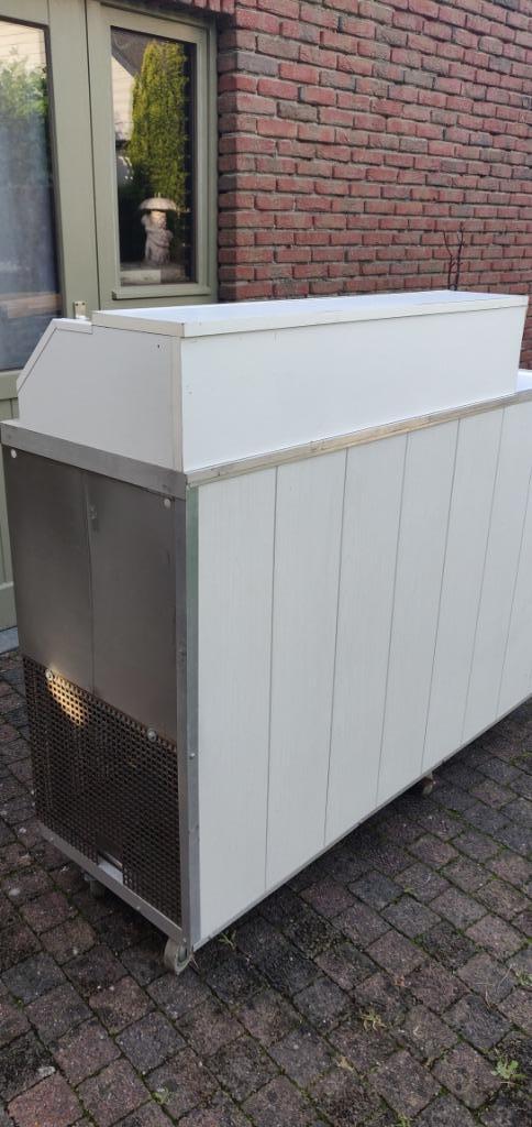 Mobiele ijs scheptoog vriezer horeca 2 vriesvakken 40liter, Ophalen, IJs
