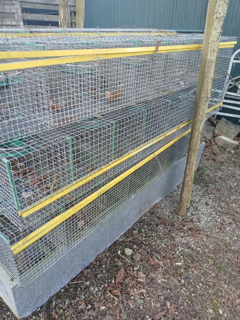 Cage d élevage pour lapins