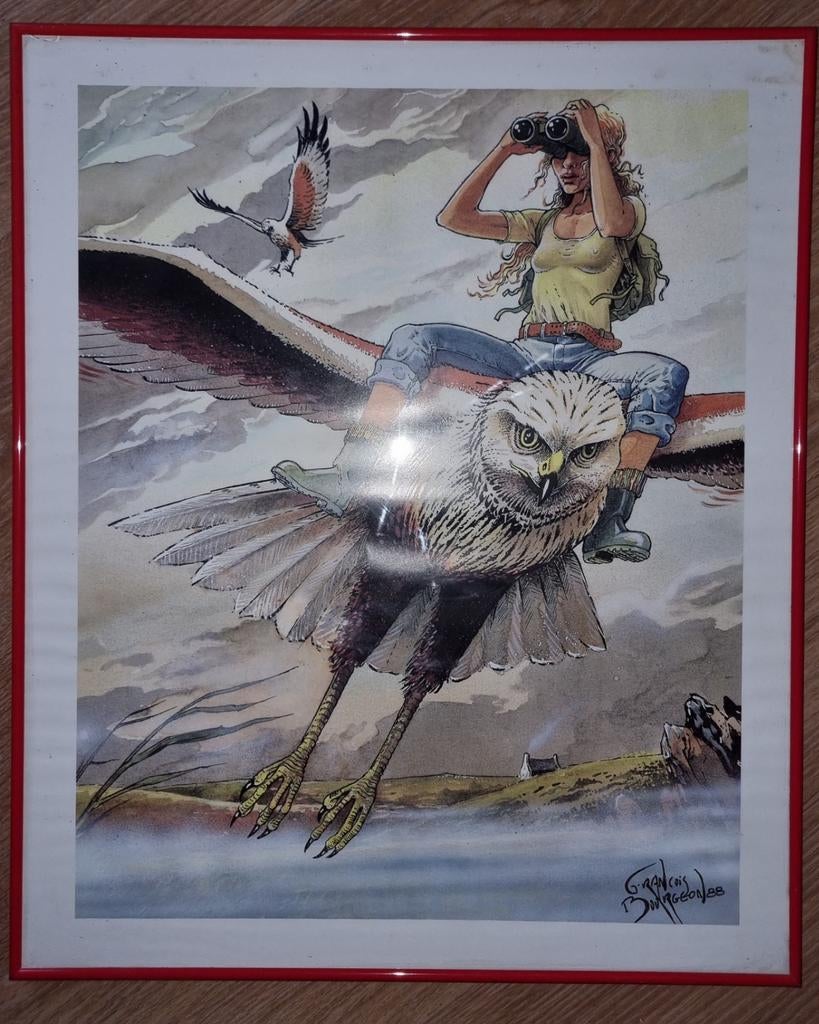 Cadre Bd Bourgeon femme sur oiseau 50x60 cm, Enlèvement