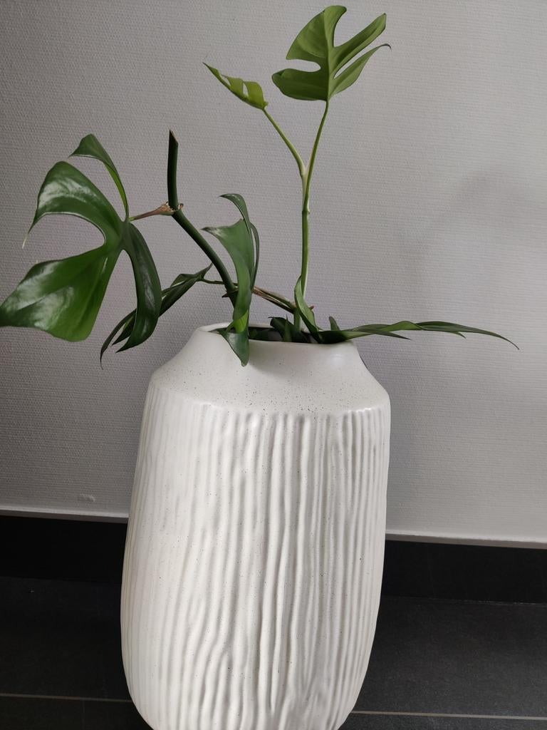 Vaas/bloempot, Tuin en Terras, Ophalen, Nieuw