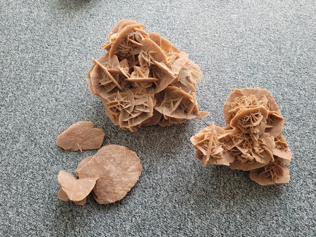 Rozen van het zand, Verzamelen, Ophalen