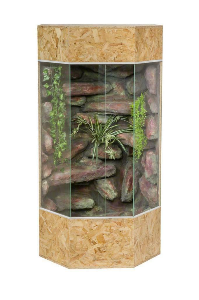 Terrarium panoramique vertical 80x60x150 cm terrarium OSB te, Envoi, Neuf