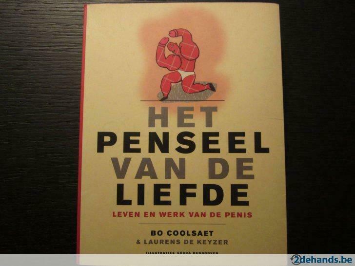 Het penseel van de liefde ( Bo Coolsaet & Laurens de Keyzer), Boeken, Ophalen, Gelezen