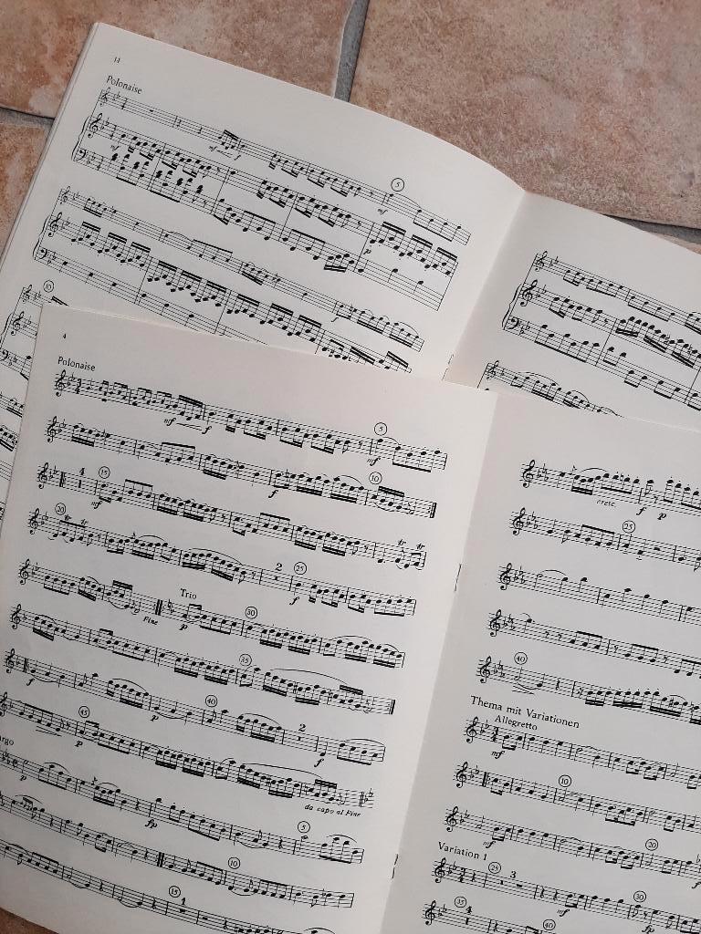 Bladmuziek fluit. blokfluit, hobo, viool en piano 11 boeken, Klassiek, Overige soorten, Piano, Ophalen of Verzenden
