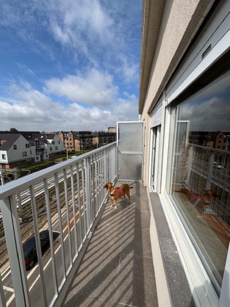 Appartement de vacances à louer à la côte., 50 m² ou plus, Ostende