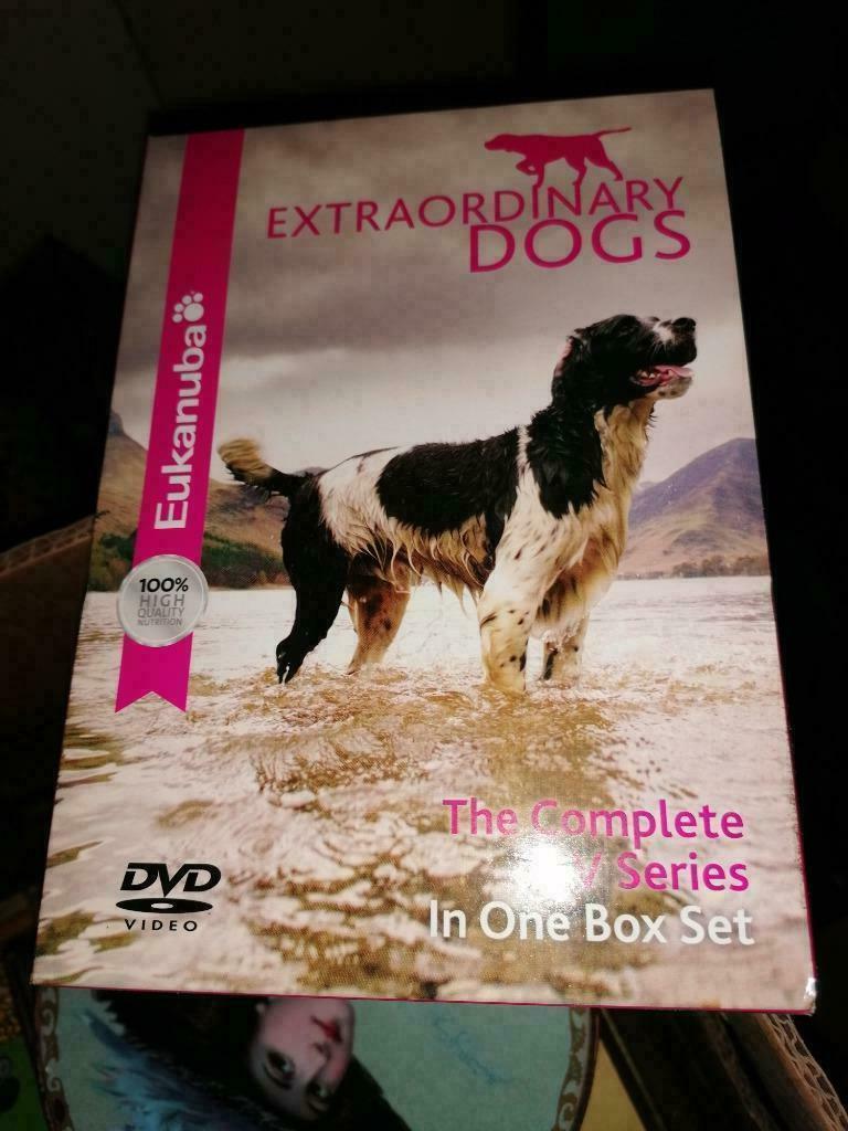 3 DVD box extraordinary dogs, Envoi, Neuf, dans son emballage